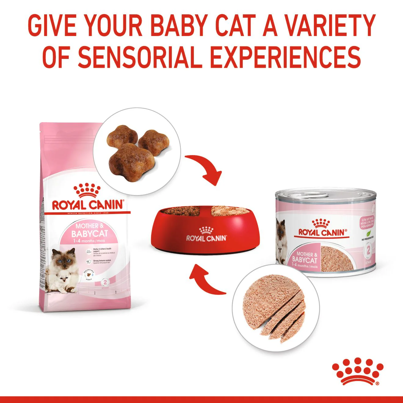 ROYAL CANIN Mother & Babycat Mousse Wet Cat Food - Image 4