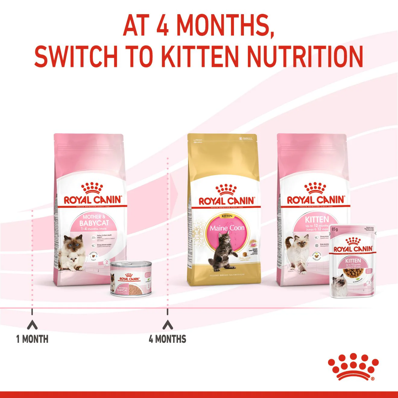 ROYAL CANIN Mother & Babycat Mousse Wet Cat Food - Image 7