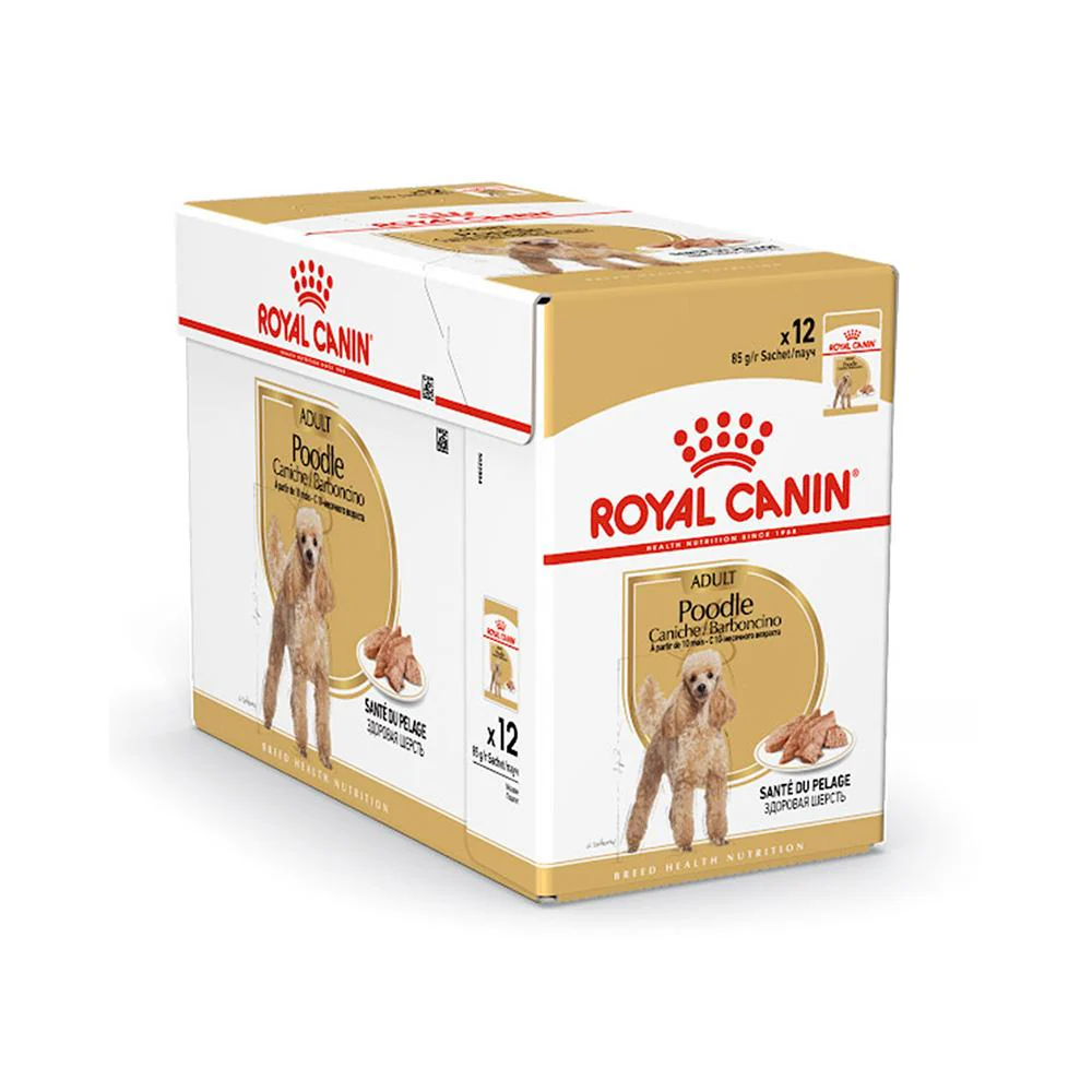 ROYAL CANIN Poodle Adult Wet Dog Food