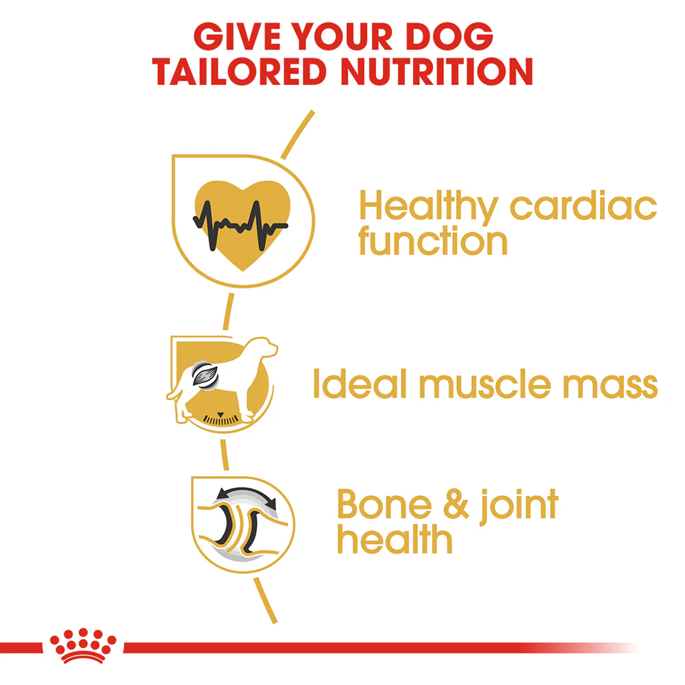 ROYAL CANIN Rottweiler Adult Dry Dog Food 12kg - Image 4