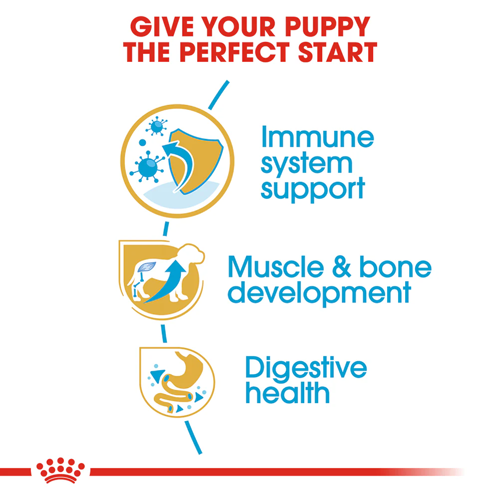 ROYAL CANIN Rottweiler Puppy Dry Dog Food 12kg - Image 4