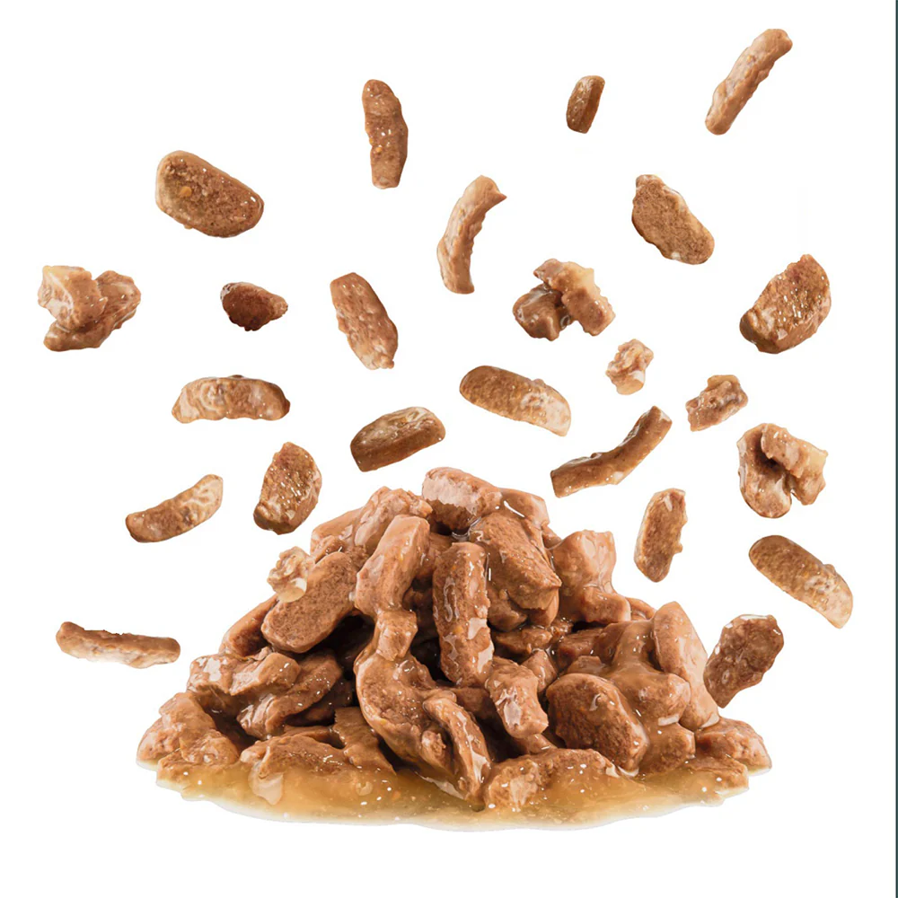 ROYAL CANIN Sensory Taste Gravy Adult Wet Cat Food 85g - Image 3