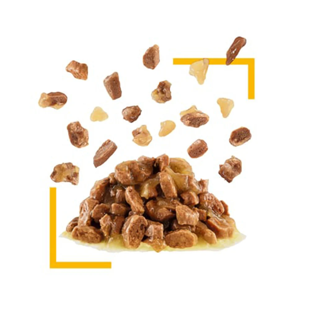 ROYAL CANIN Sensory Taste Jelly Adult Wet Cat Food 85g - Image 3