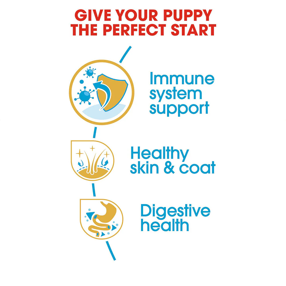 ROYAL CANIN Shih Tzu Puppy Dry Dog Food 1.5kg - Image 5