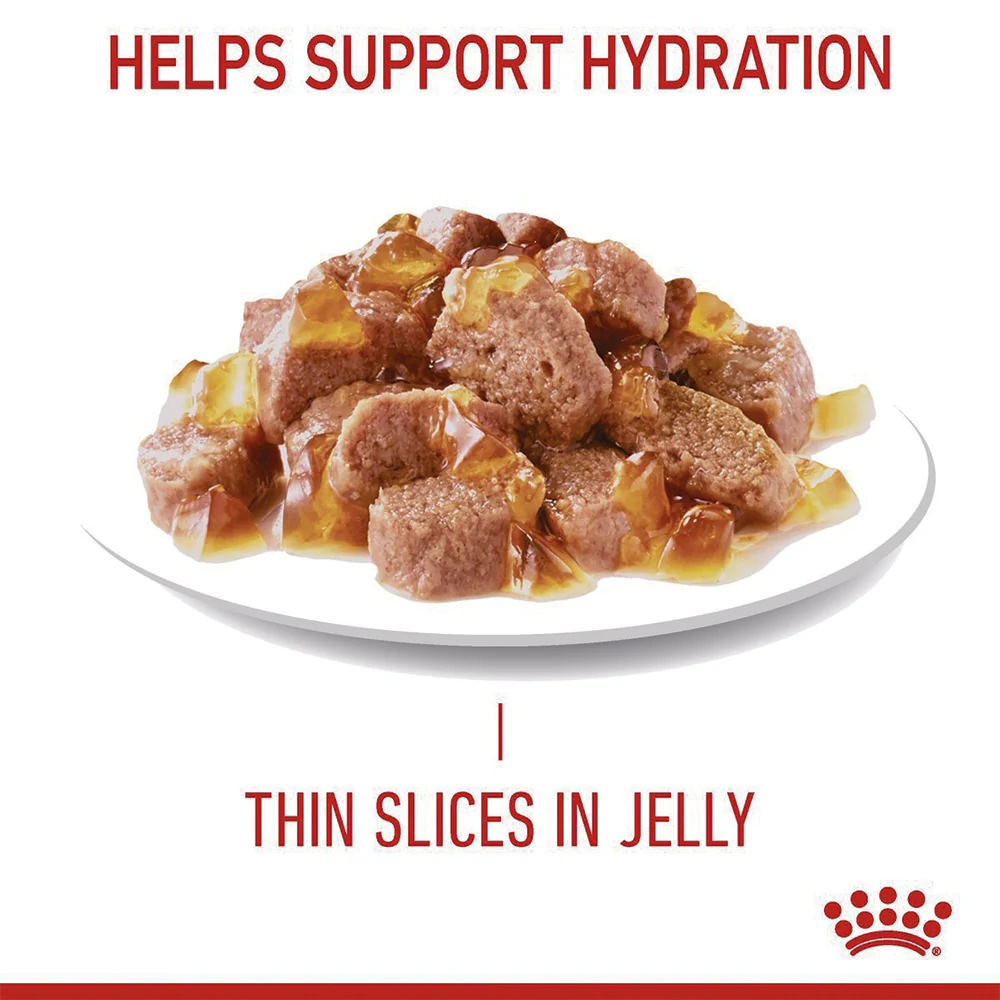 ROYAL CANIN Urinary Care Jelly Wet Cat Food 85g x 12 - Image 3