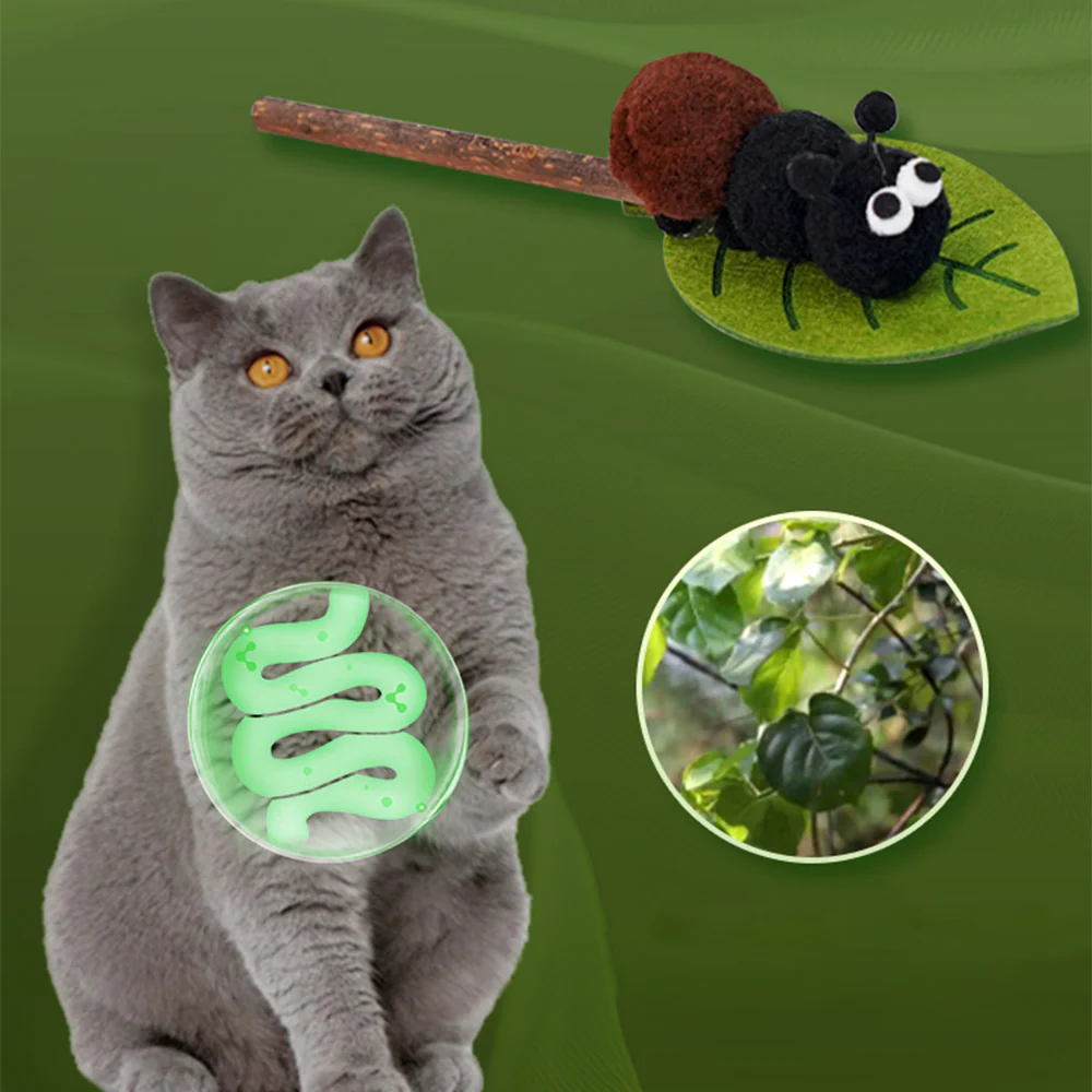Silvervine Cat Teaser Wand – Interactive Dental Chew Toy - Image 3