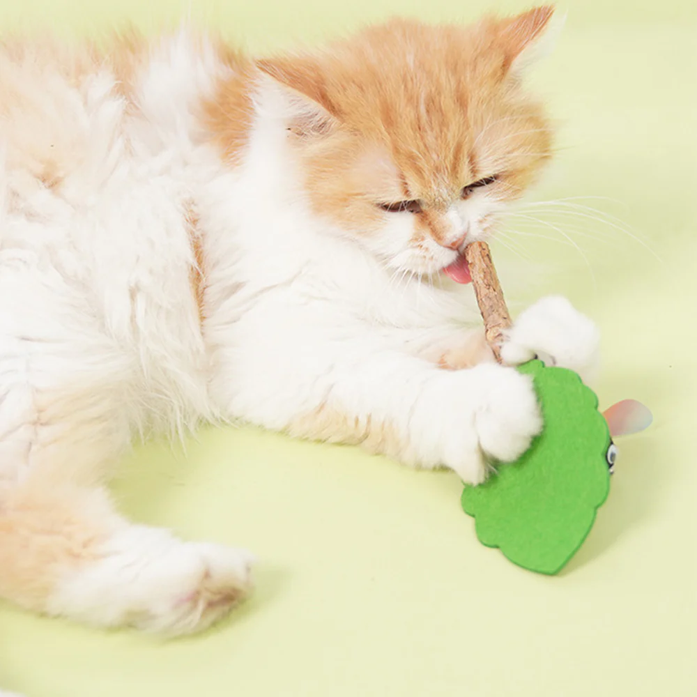 Silvervine Cat Teaser Wand – Interactive Dental Chew Toy - Image 8