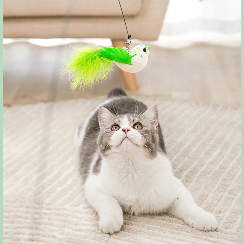 Simulation Feather Steel Wire Cat Teaser Wand Green-tailed Bird - Image 4