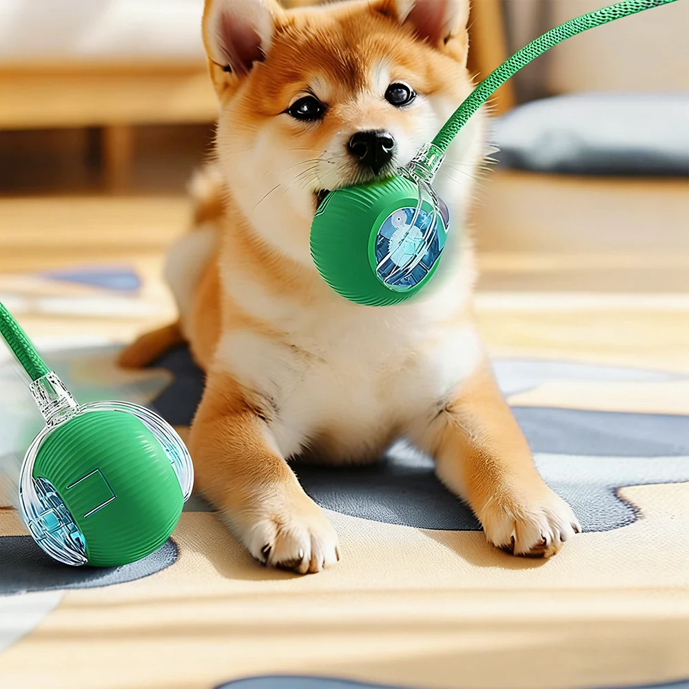 Smart Interactive Pet Ball Toy – 3 Speed Modes with Teaser Rope 1Pcs Random - Image 7