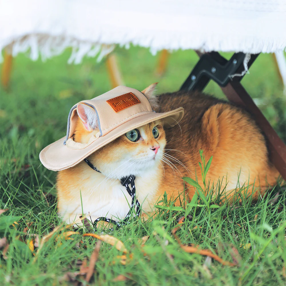 SMILE TIME Flexi-Fit Secure Oxford Pet Hat 18x20cm - Image 3