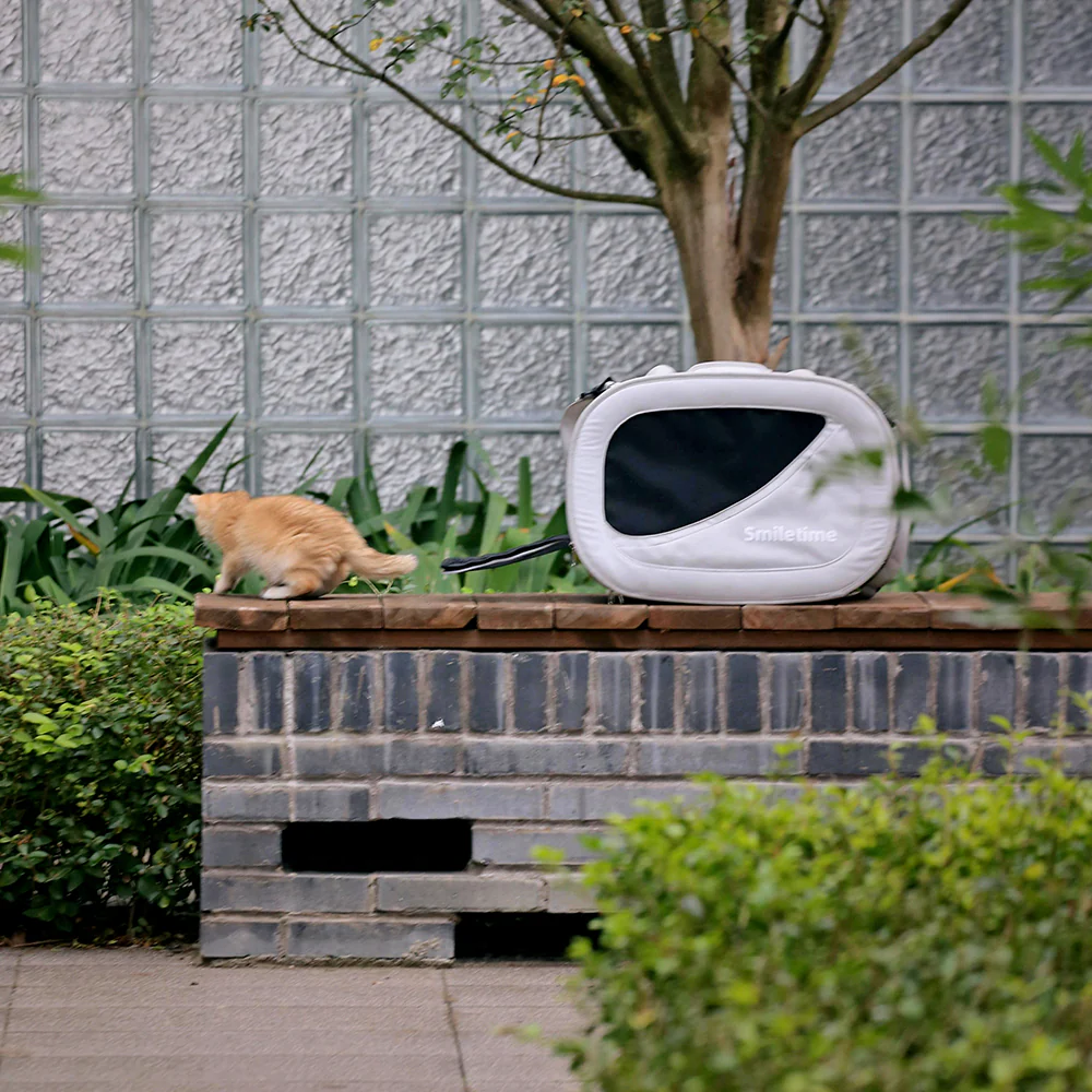 SMILE TIME Modern Grey Pet Carrier 48x27x34cm - Image 13
