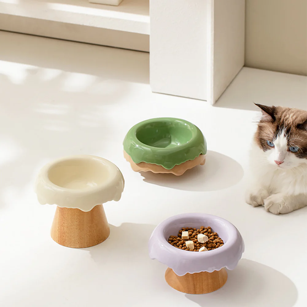 Split Ceramic Pet Slanted High Bowl - 250ml - Image 7