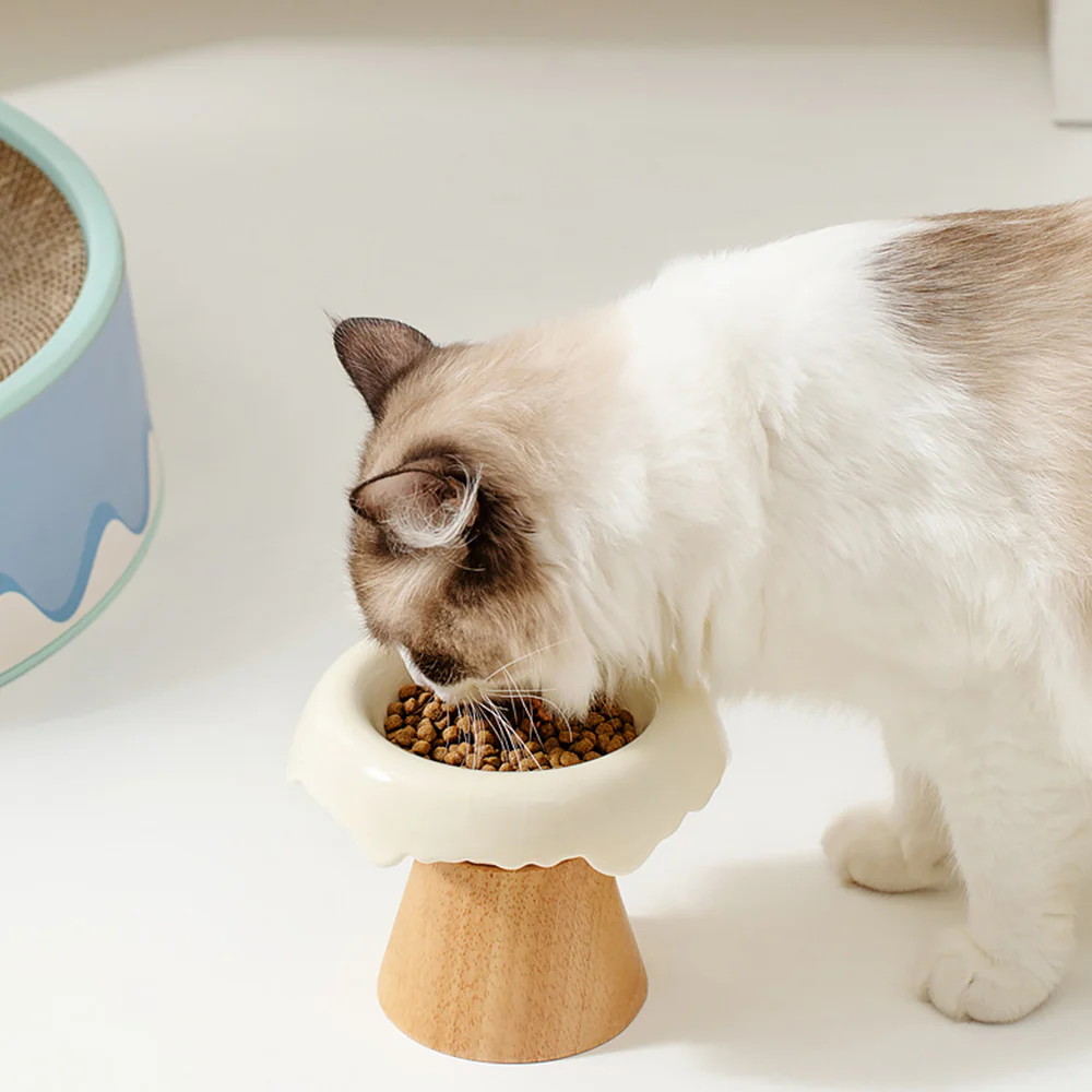 Split Ceramic Pet Slanted High Bowl - 250ml - Image 8
