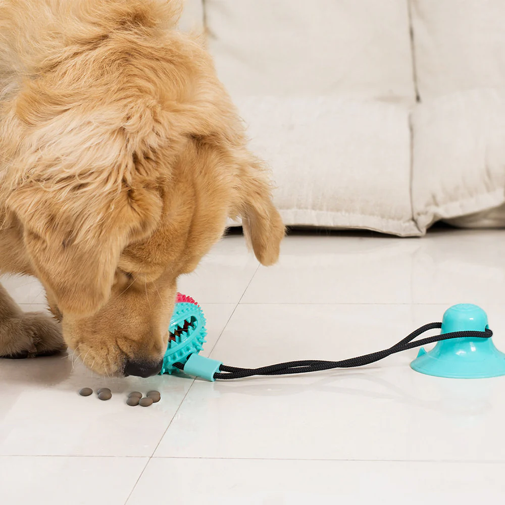 Strong Suction & Durable Dispensing Interactive Dog Toy 1Pcs Random - Image 12