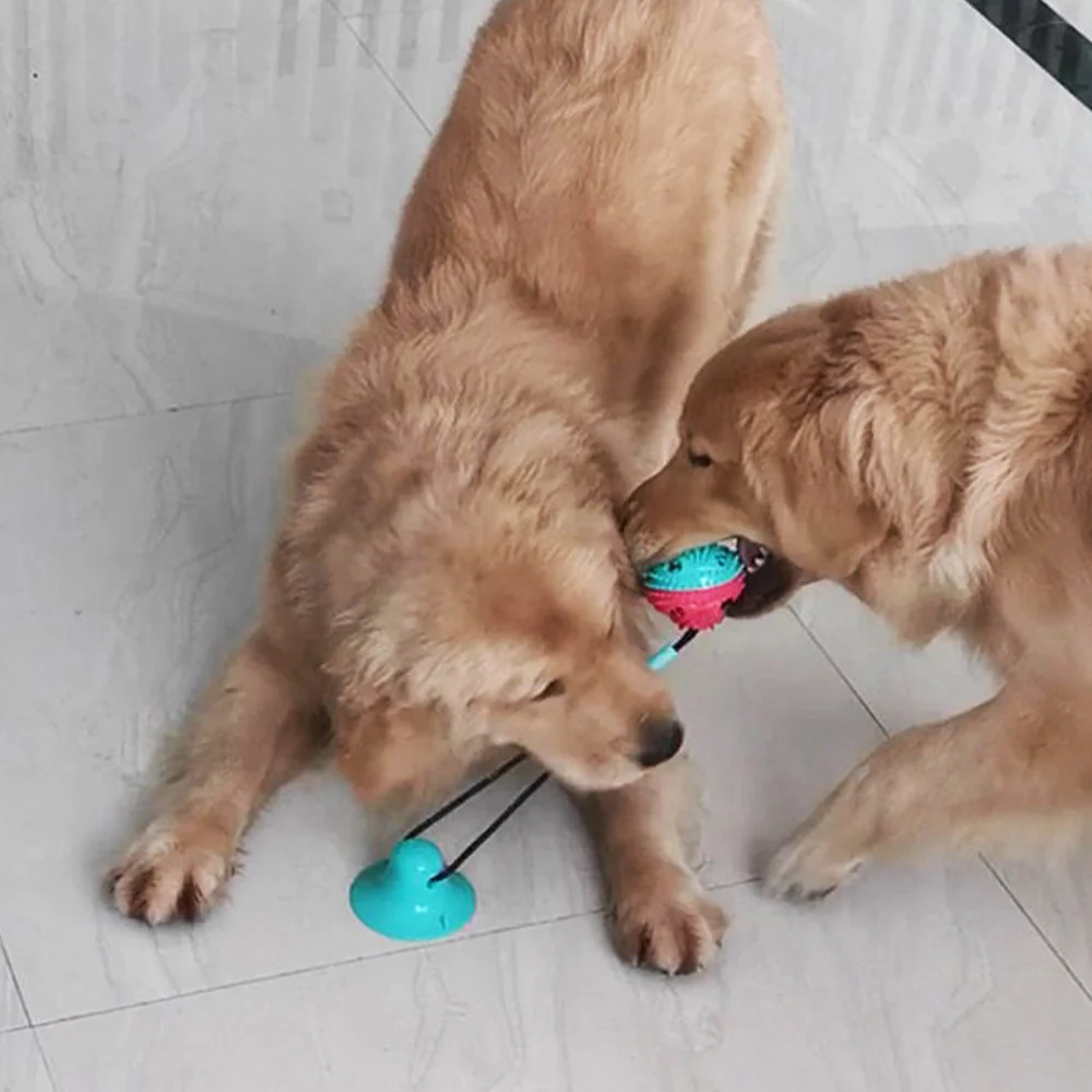 Strong Suction & Durable Dispensing Interactive Dog Toy 1Pcs Random - Image 13