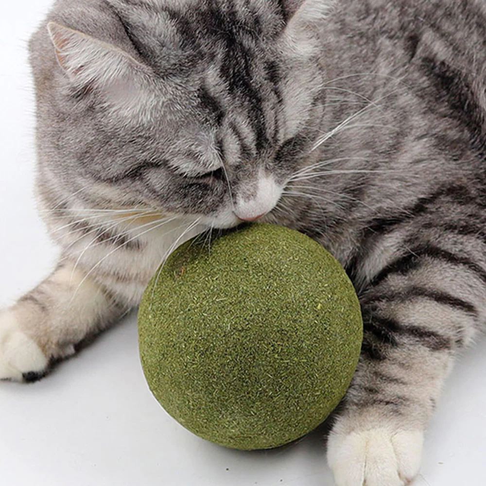 Super Large Self-Entertaining Catnip Ball 10cm - Image 3