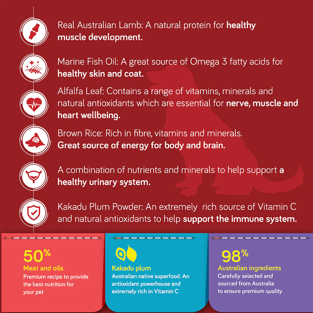 TALENTAIL Lamb with Brown Rice Kibble Dog Food for Adult Dogs 3.5kg - Image 3