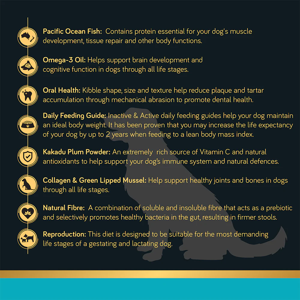TALENTAIL Ultimate Pacific Ocean Fish Dog Food for All Life Stages - Image 4