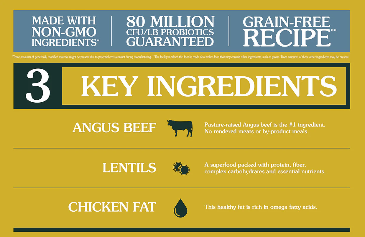 TASTE OF THE WILD Prey Angus Beef Grain Free Dry Cat Food - Image 3