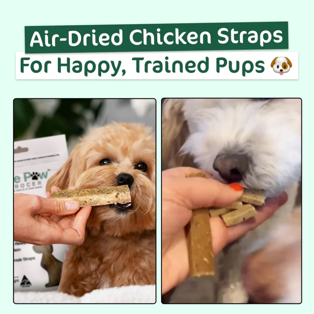 THE PAW GROCER Air Dried Chicken Straps Dog Treats 100g - Image 3