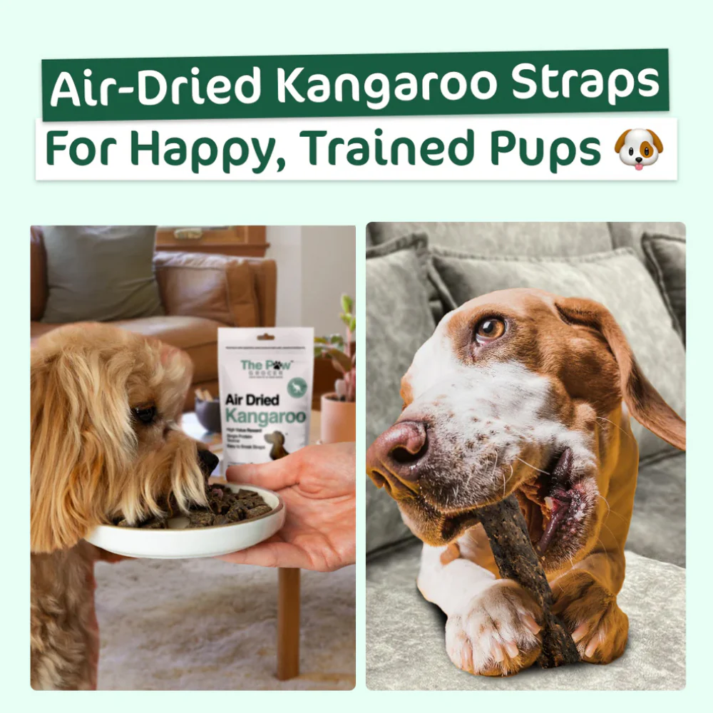 THE PAW GROCER Air Dried Kangaroo Straps Dog Treats 100g - Image 7