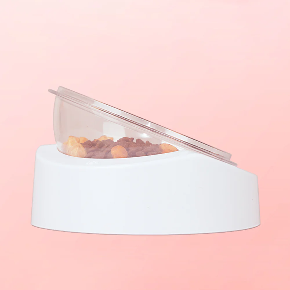 Tilted Cat Feeding Bowl-Neck Relief Design for Comfortable Eating - Image 8