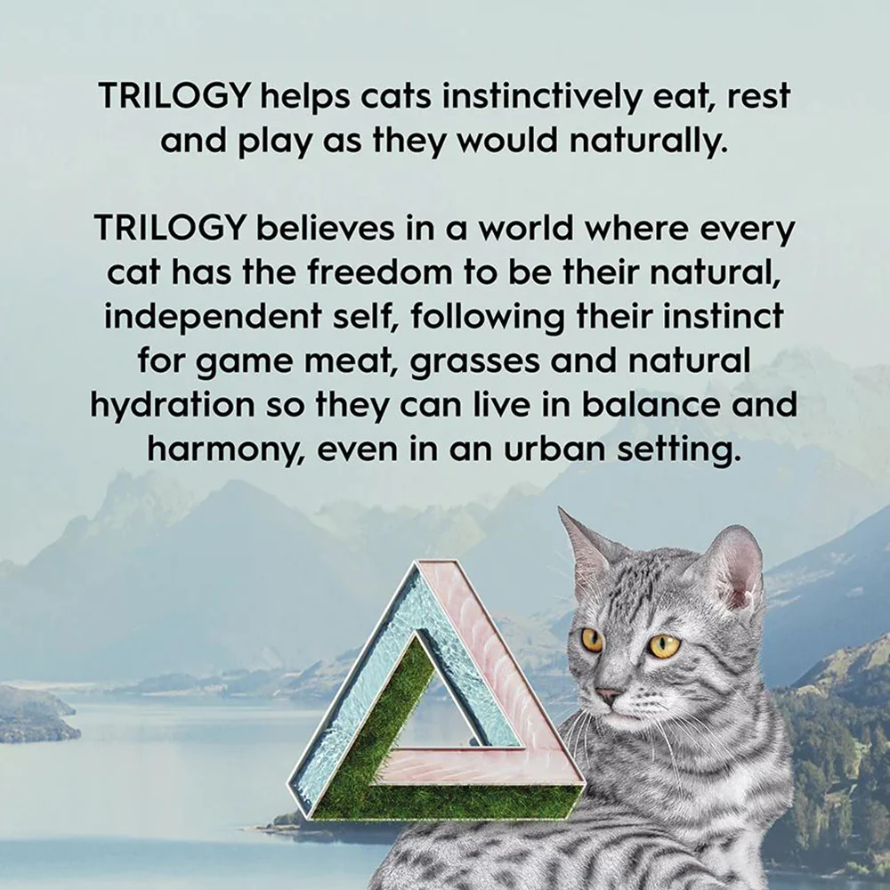 TRILOGY Tuna & Freeze Dried Lamb Adult Dry Cat Food - Image 3