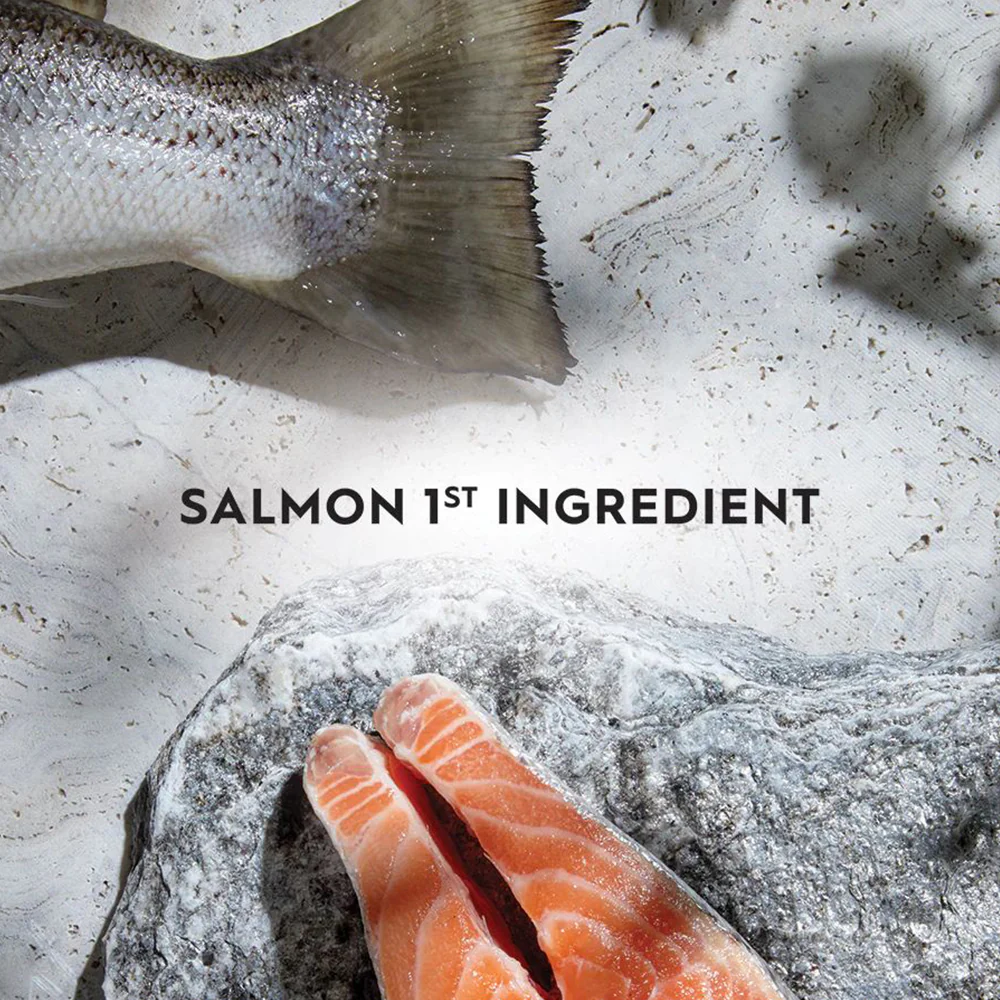 TRILOGY Australian Salmon & Freeze Dried Lamb Adult Dry Cat Food - Image 5
