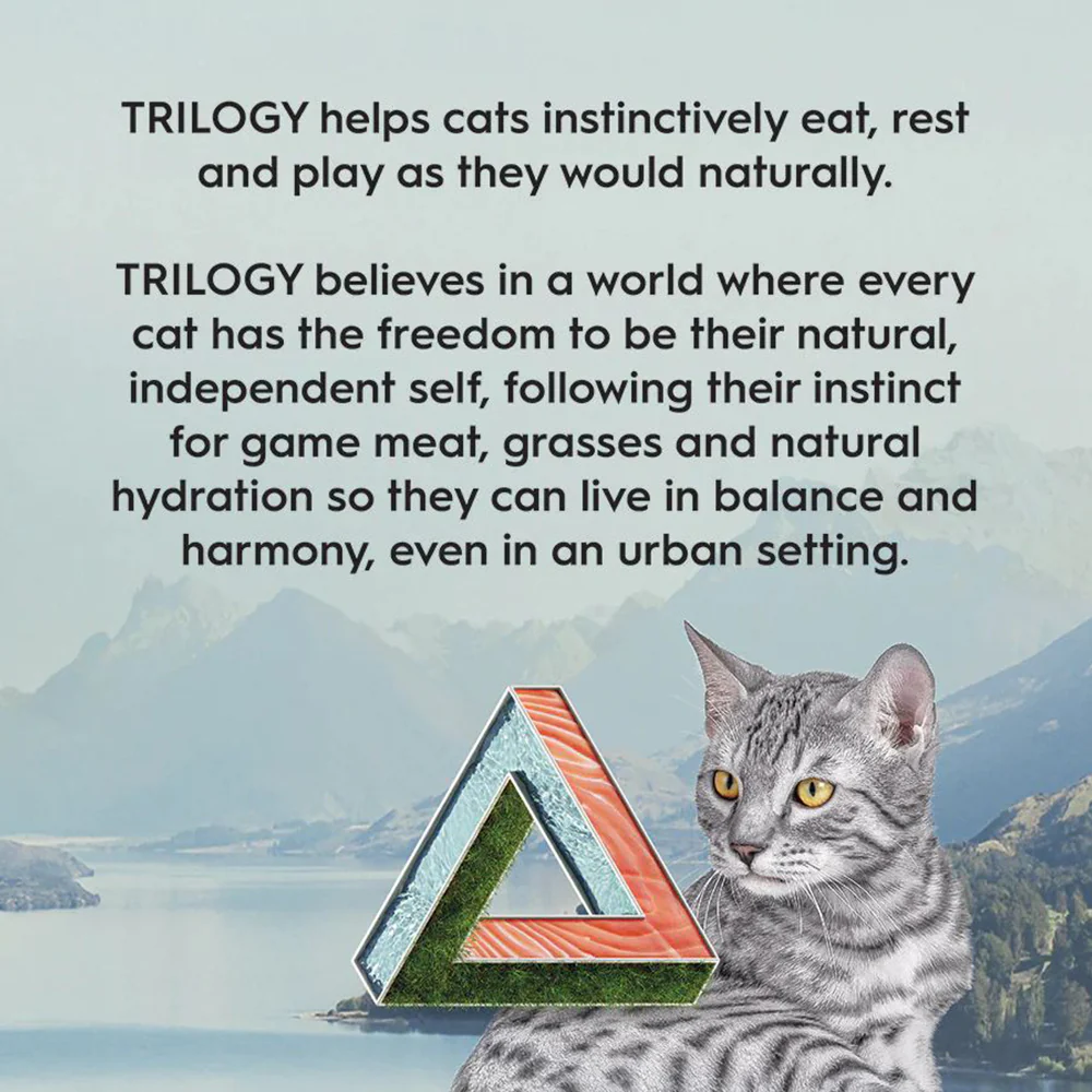 TRILOGY Australian Salmon & Freeze Dried Lamb Adult Dry Cat Food - Image 8