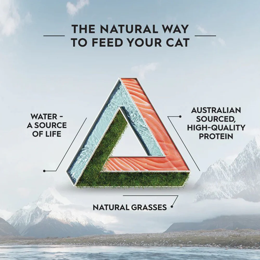 TRILOGY Australian Salmon & Freeze Dried Lamb Adult Dry Cat Food - Image 9