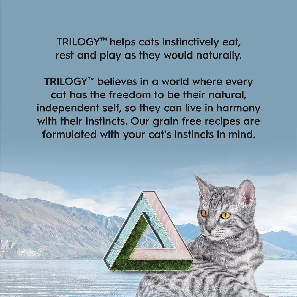 TRILOGY Wild Caught Mackerel in Bone Broth Adult Canned Cat Food - Image 5