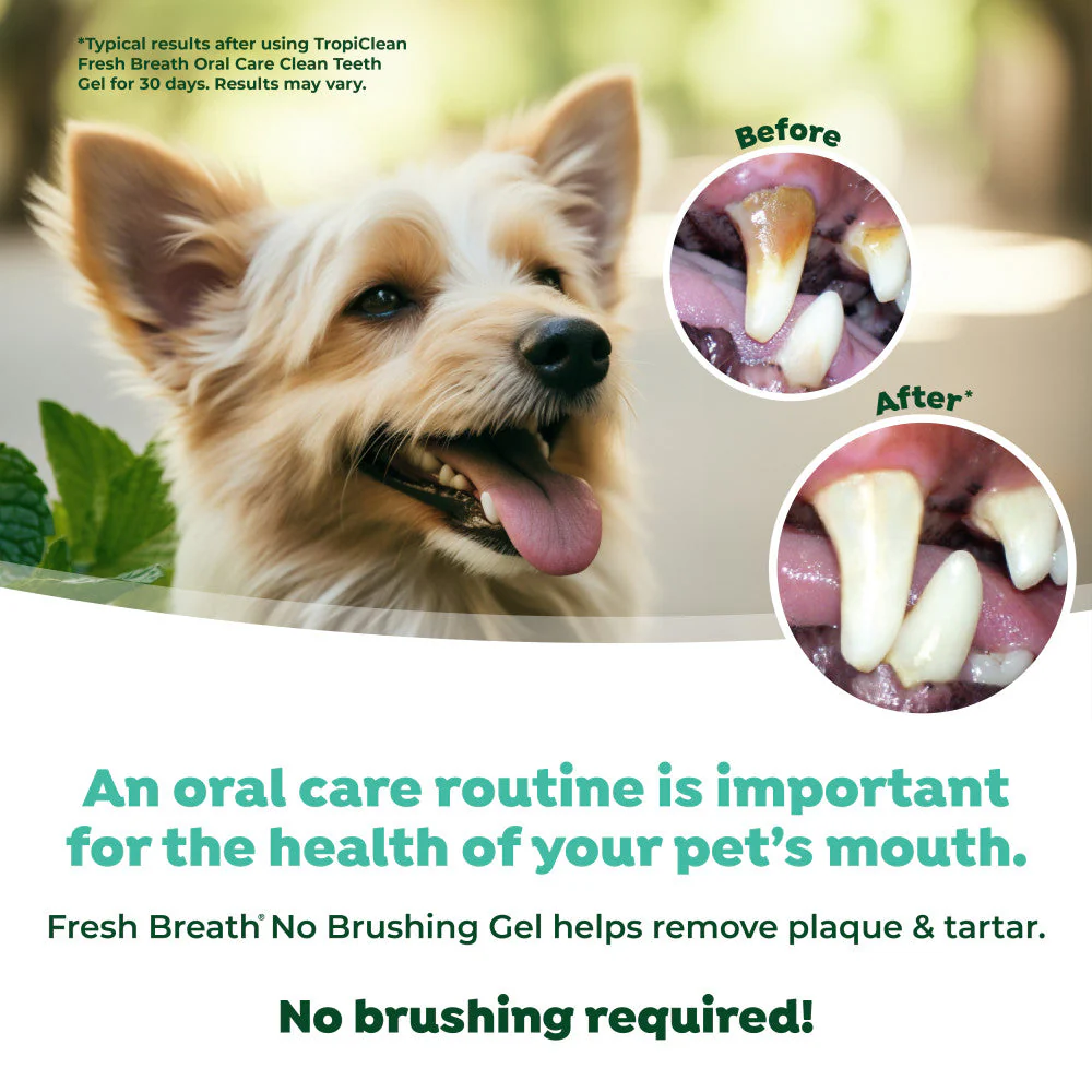 TROPICLEAN Fresh Breath Oral Care Clean Teeth Gel for Dogs 118ml - Image 4