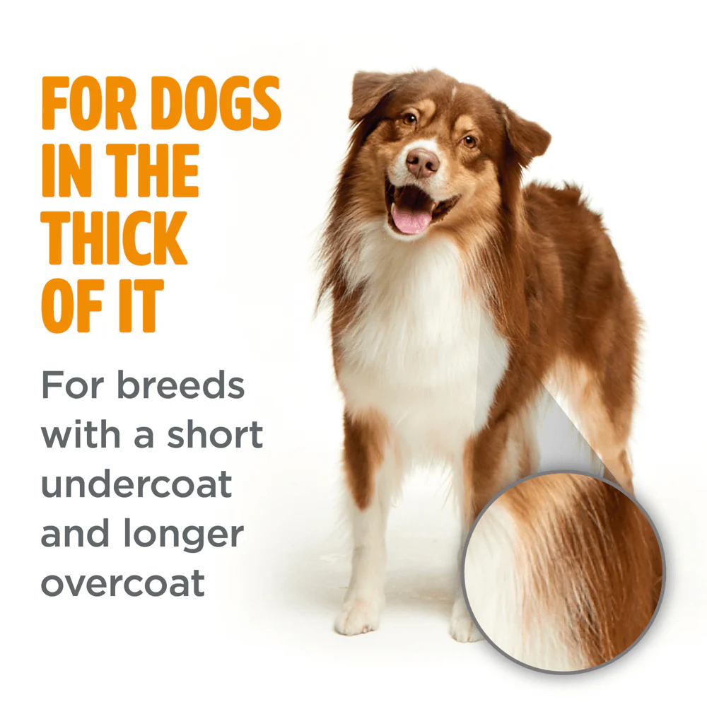 TROPICLEAN Perfect Fur Thick Double Coat Shampoo for Dogs 473ml - Image 2