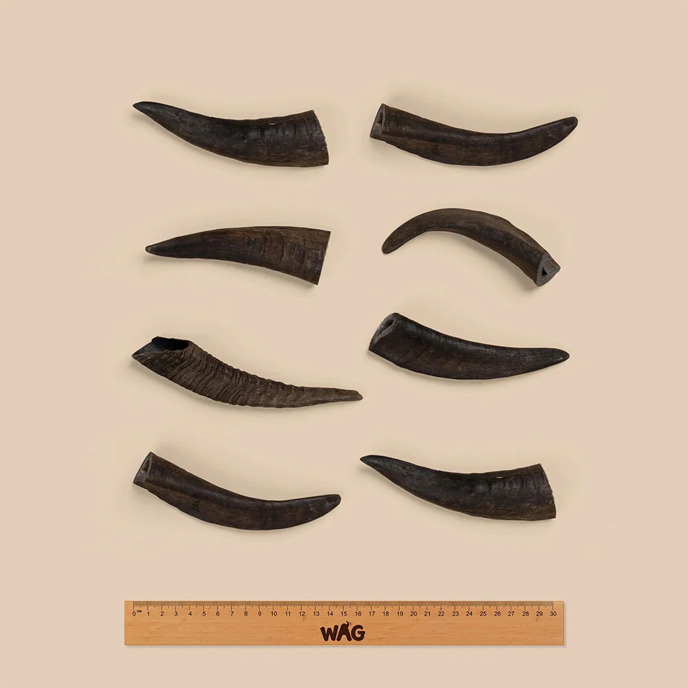 WAG Goat Horn Natural Dried Small Single Dog Treat - Image 4
