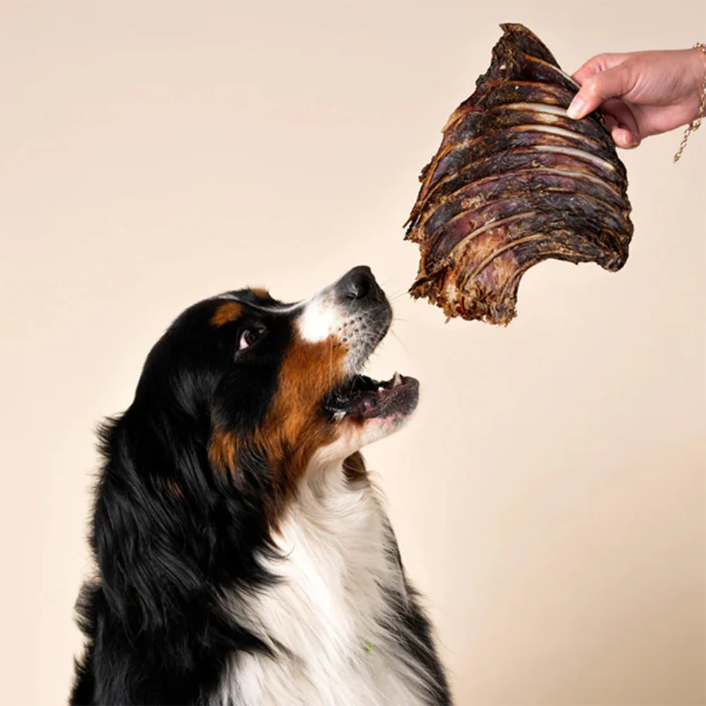 WAG Kangaroo Rib Rack Natural Dried Single Dog Treat - Image 3