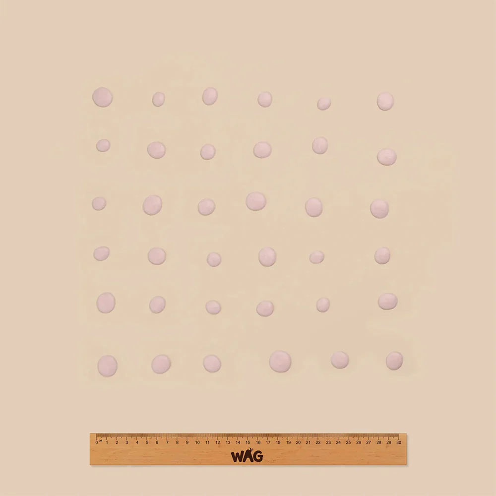 WAG Strawberry Yoghurt Drops Dog Pouch Treats 250g - Image 3