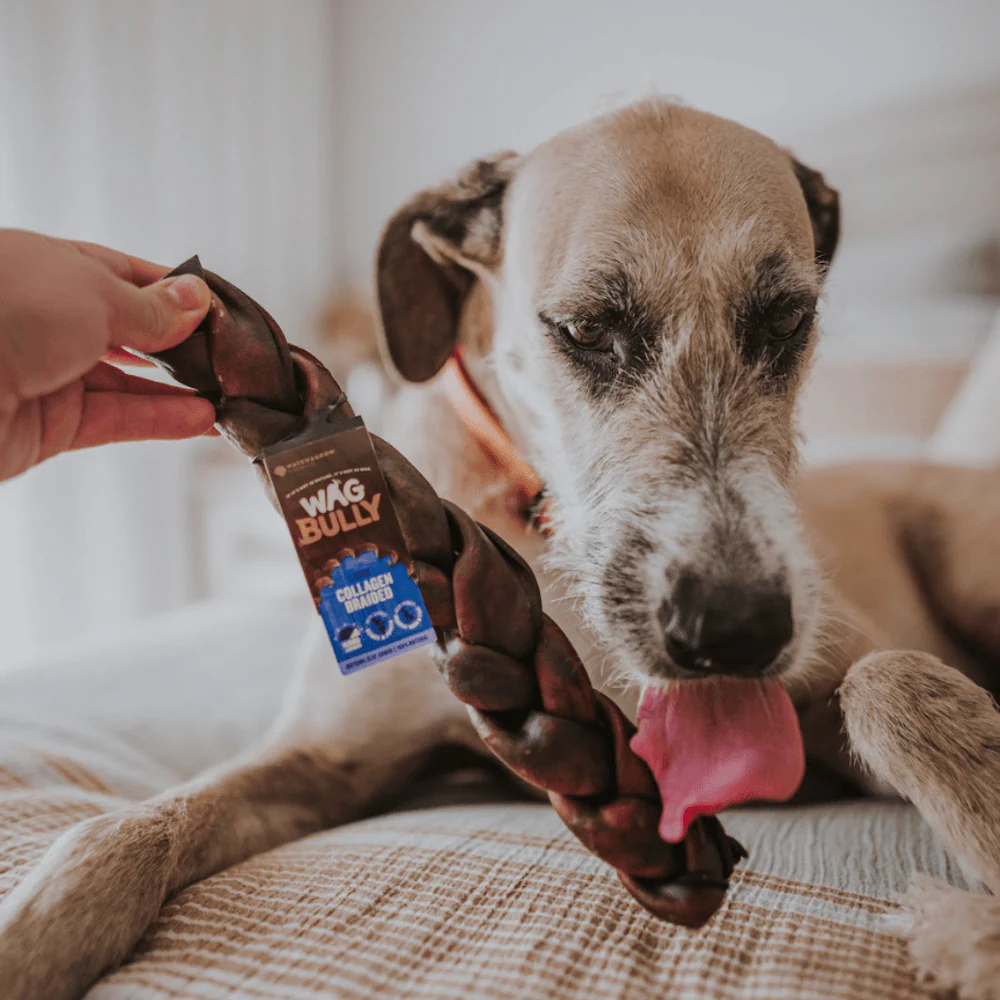 WAG Collagen Stick Braided Regular Dog Treats 1Pc - Image 3