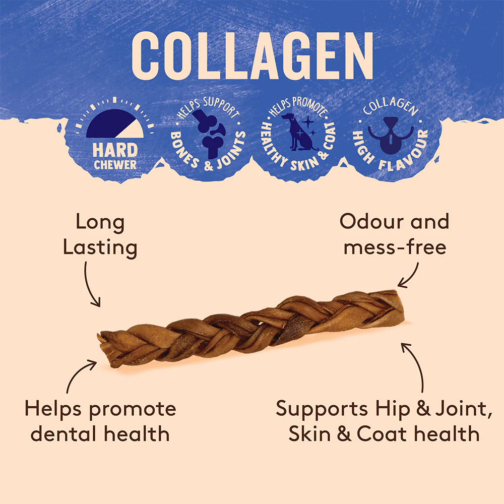 WAG Collagen Stick Braided Regular Dog Treats 1Pc - Image 4