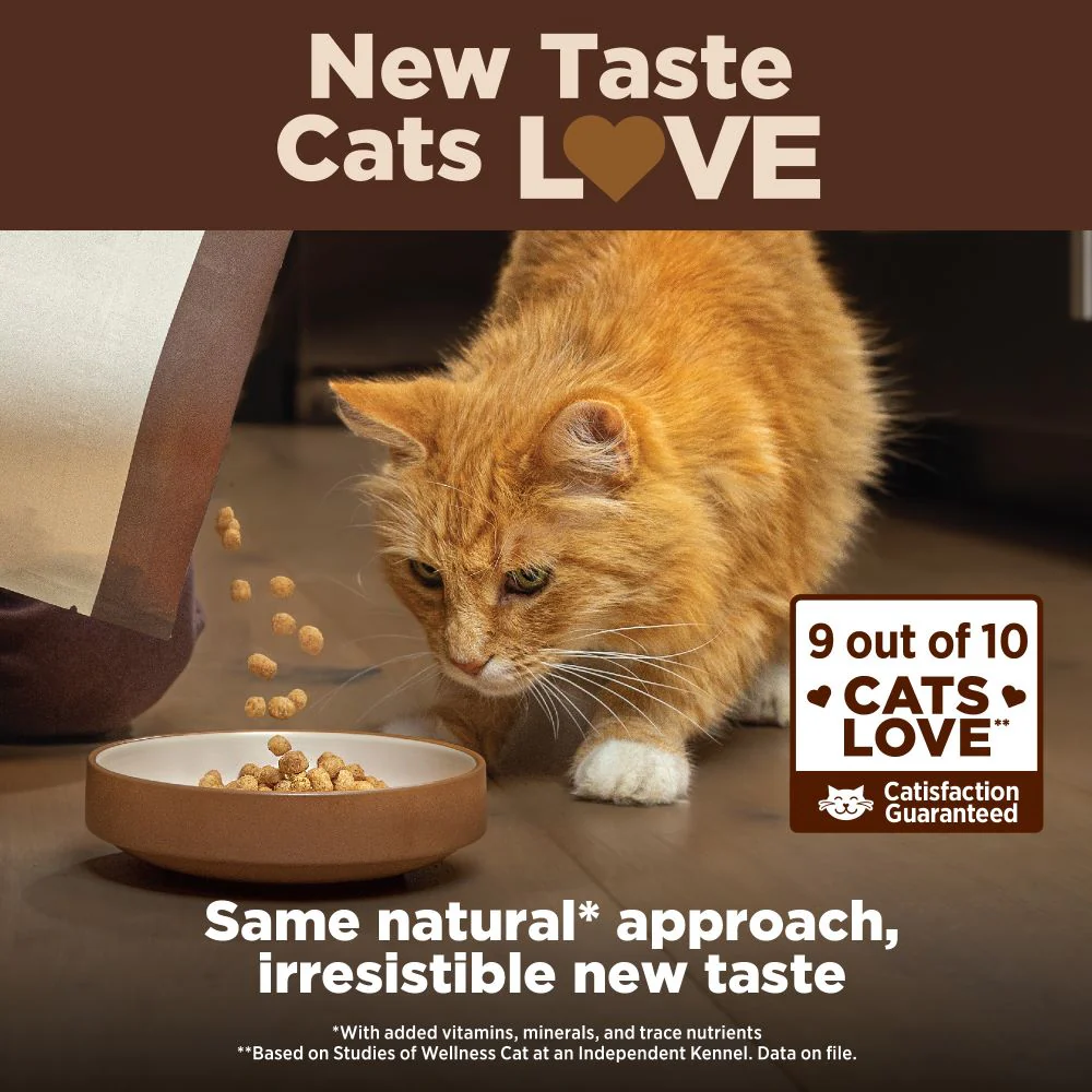 WELLNESS Core Grain Free Chicken Indoor Dry Cat Food 2.27kg - Image 6