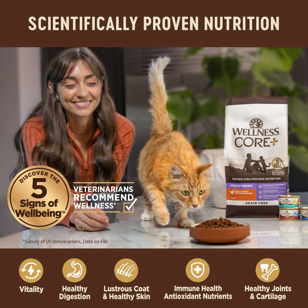 WELLNESS Core Grain Free Chicken Indoor Dry Cat Food 2.27kg - Image 8