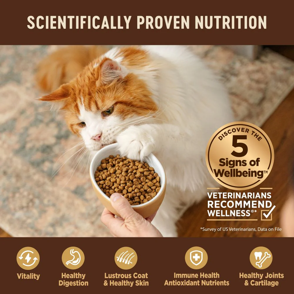 WELLNESS Core Grain Free Original Chicken & Turkey Dry Cat Food 2.27kg - Image 8