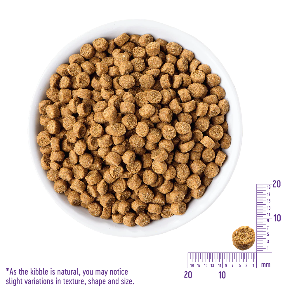WELLNESS Core Grain Free Turkey & Duck Dry Cat Food 2.27kg - Image 4