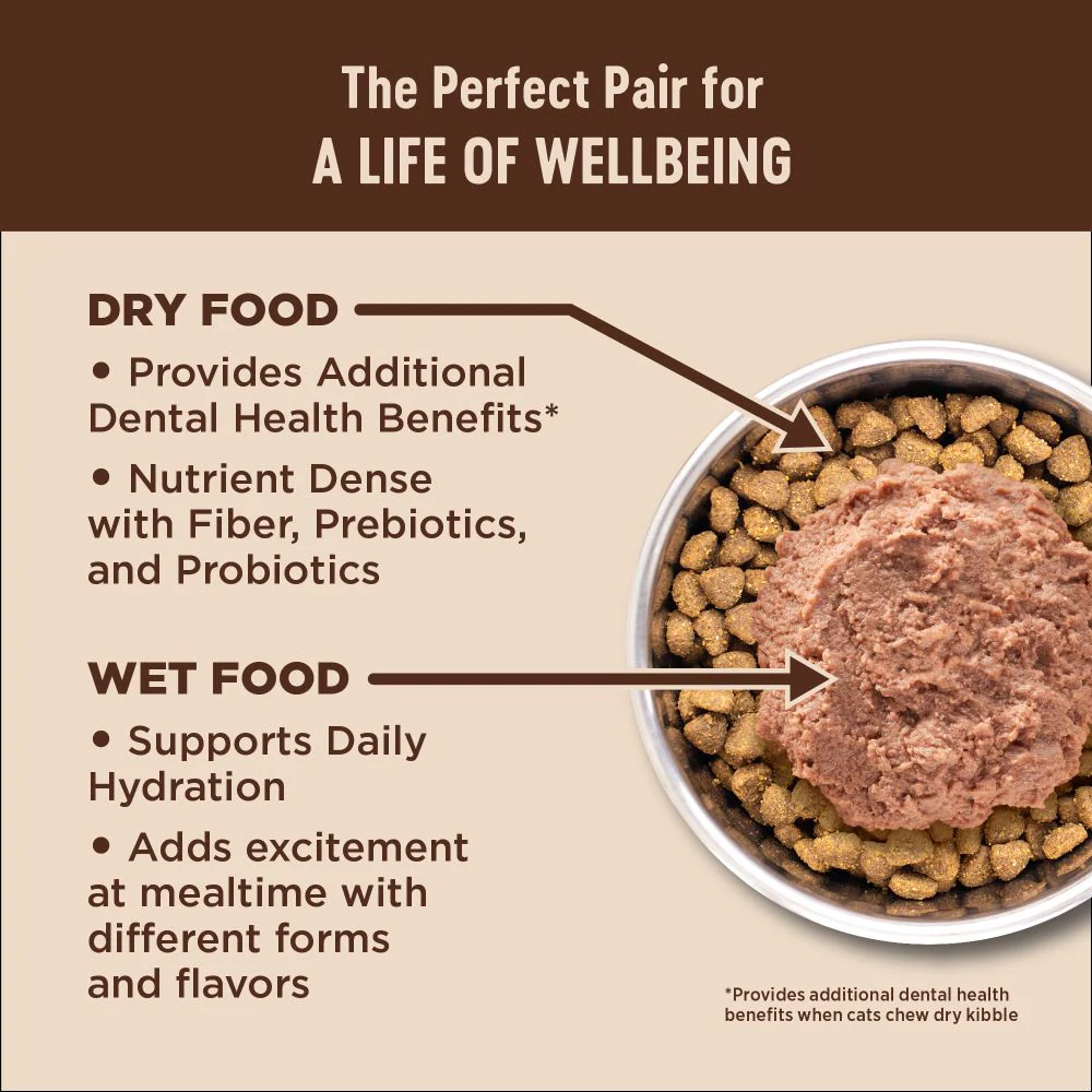 WELLNESS Core Grain Free Turkey & Duck Dry Cat Food 2.27kg - Image 5