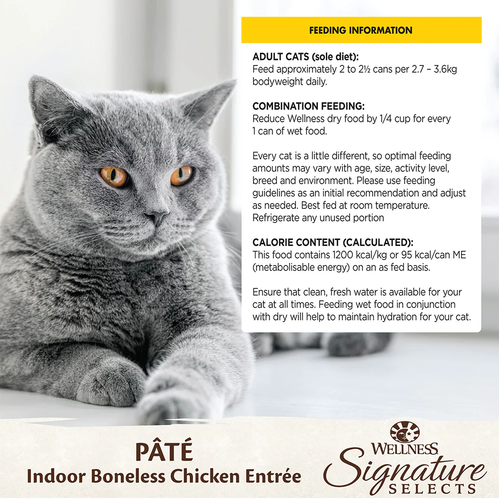 WELLNESS Core Signature Selects Indoor Chicken Wet Cat Food - Image 4
