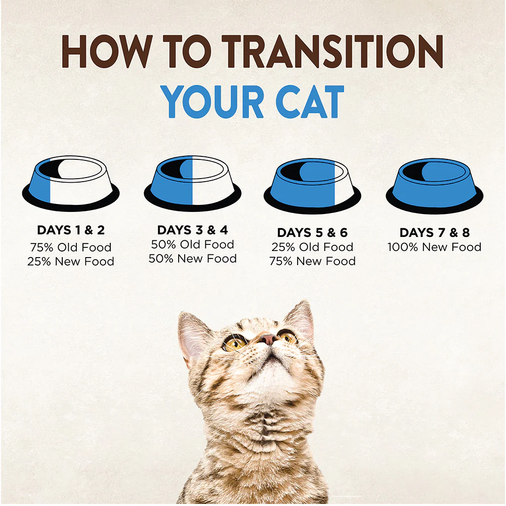 WELLNESS Core Signature Selects Indoor Chicken Wet Cat Food - Image 5