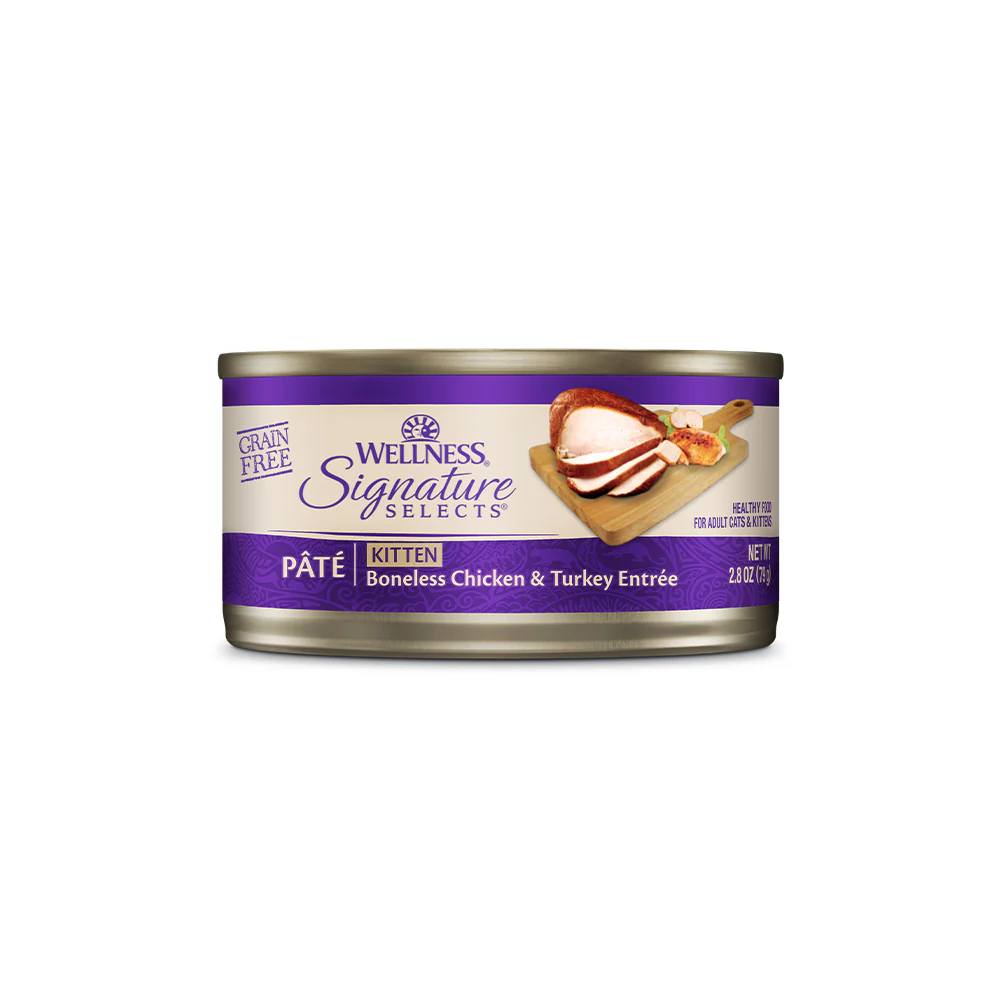 WELLNESS Core Signature Selects Kitten Chicken & Turkey Wet Cat Food