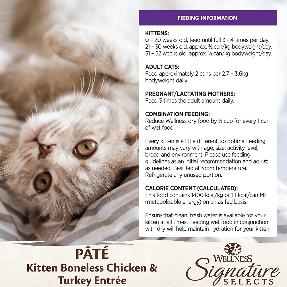 WELLNESS Core Signature Selects Kitten Chicken & Turkey Wet Cat Food - Image 3