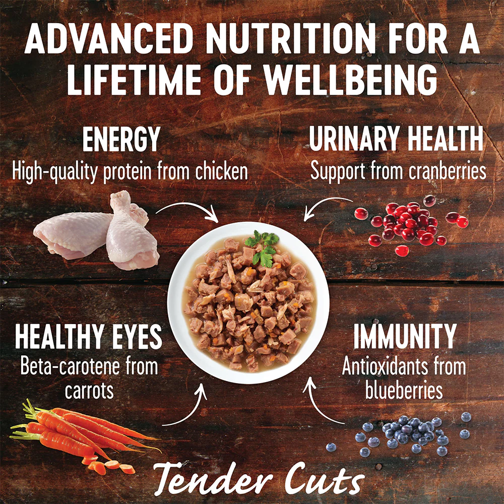 WELLNESS Core Tender Cuts Chicken Selection Multipack Wet Cat Food 85g x 6 - Image 5