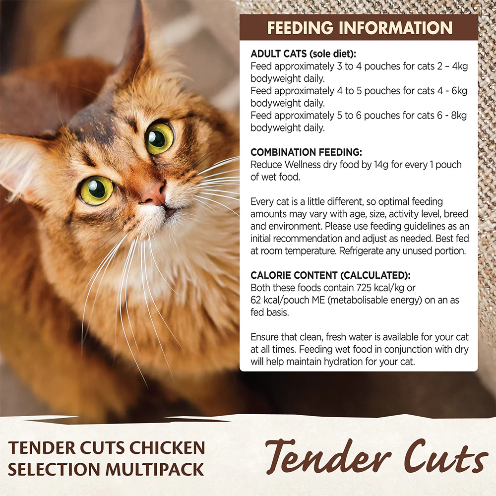 WELLNESS Core Tender Cuts Chicken Selection Multipack Wet Cat Food 85g x 6 - Image 6