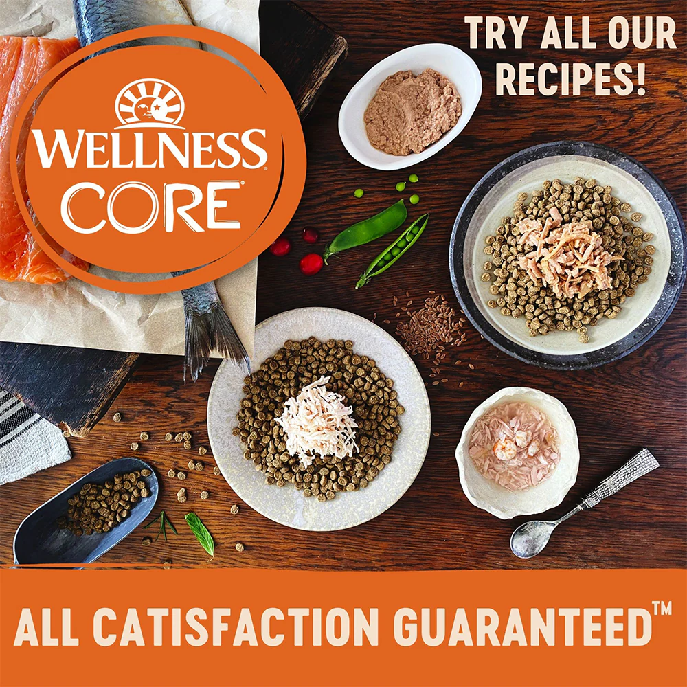 WELLNESS Core Tender Cuts With Chicken & Salmon in Savoury Gravy Wet Cat Food 85g x 8 - Image 4